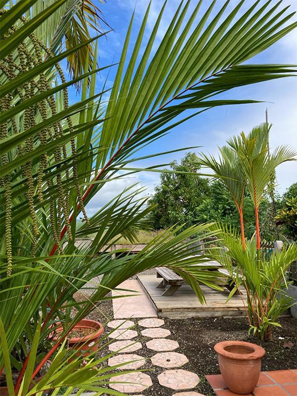 Villa La Roserie Ducos Exterior photo